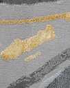 AYDA T9019 GRIS PLATA ORO 160*230 TAPETE - LN 