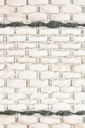 JAYA N8036 BLANCO NATURAL BEIGE 200*290 TAPETE - LN