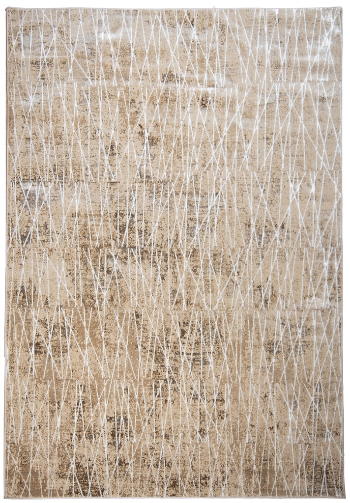 RIENZ U7029 BEIGE PLATA 160*230 TAPETE - LN