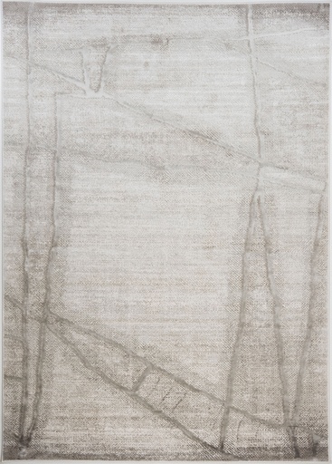 [12162] FIORA T2385 GRIS GRIS 160*230 TAPETE - LN25