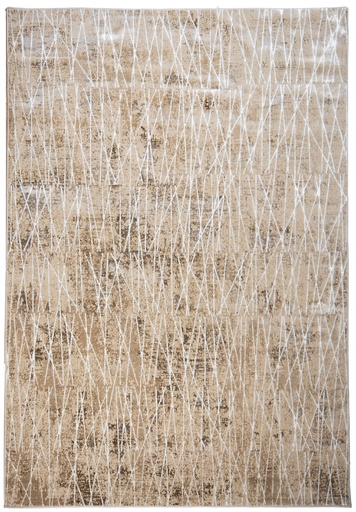 [12554] RIENZ U7029 BEIGE PLATA 240x330cm TAPETE - LN