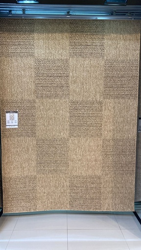 [13575] BIGA R3003 BEIGE CAFÉ 200*290 TAPETE PARA EXTERIOR - LN25